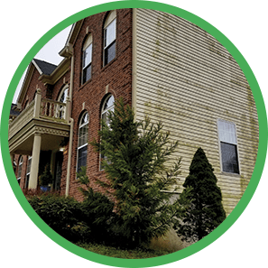 siding cleaning