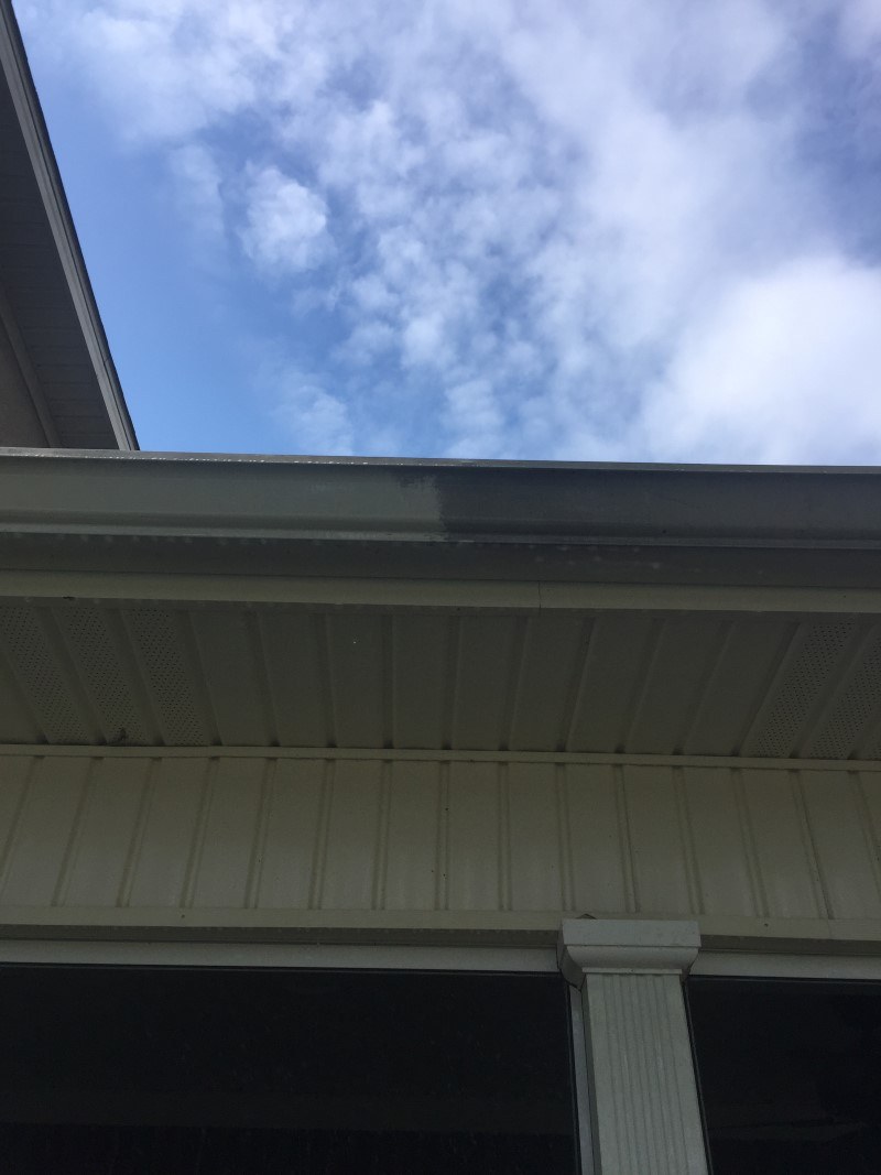 Gutter cleaning professionals