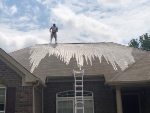 Roof Cleaning in Hendersonville