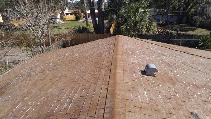 Roof cleaning service