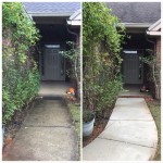 Concrete cleaning