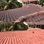 Roof cleaning project, before and after