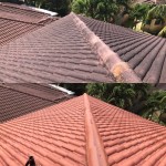 Roof cleaning project, before and after
